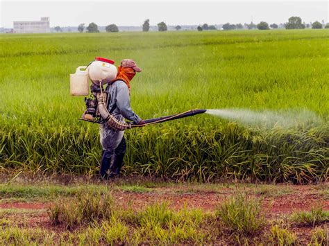 Thailand To Ban Three Toxic Pesticides, US Tries To Pressure Against It