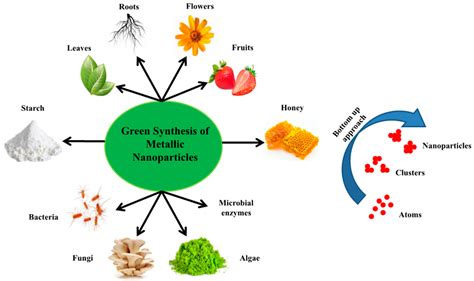 Nanomaterials | Free Full-Text | Flower-Based Green Synthesis of Metallic Nanoparticles ...