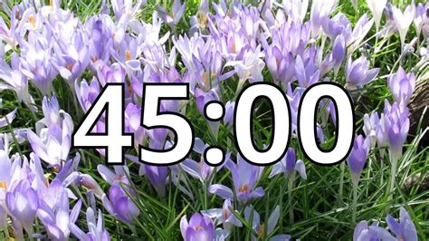 45 Minutes Timer with Music | Spring Timer - YouTube