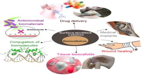 Biomedical Applications of BC | Download Scientific Diagram