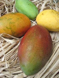 Tainong and Irwin Mango Varieties - Market Manila