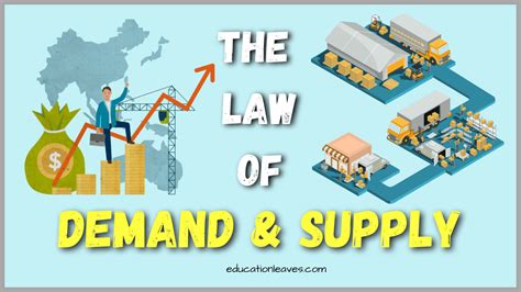 Law of Demand and Supply: [PDF Included] Curves, Importance, Conditions ...