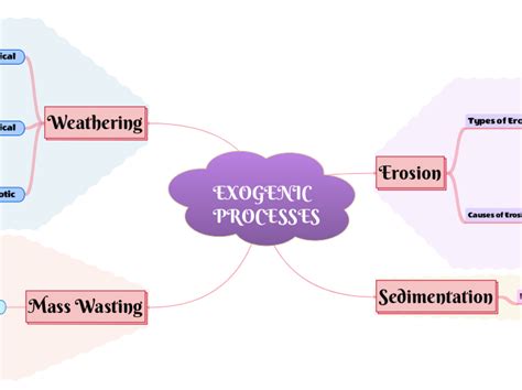 EXOGENIC PROCESSES - Mappa Mentale - Schema