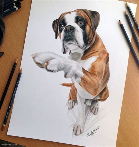 Dog Color Pencil Drawing By Dinotomic 1 - Preview