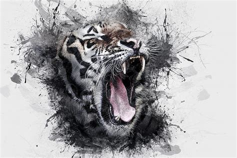 White Tiger Roaring Face