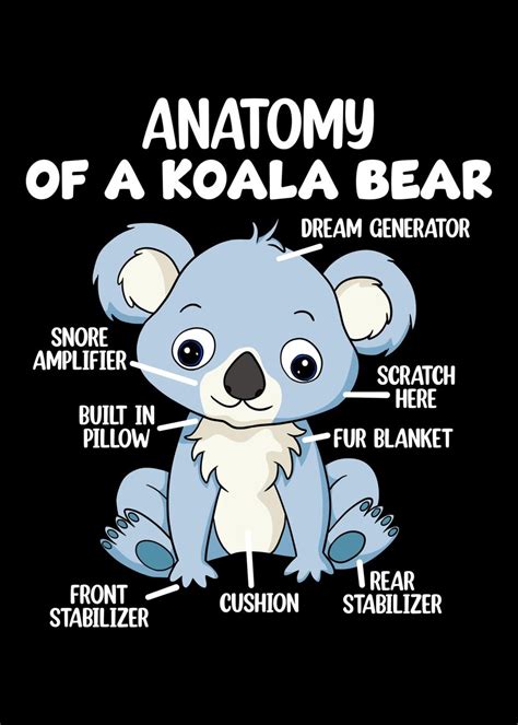 'Anatomy Of A Koala Bear' Poster by Hexor | Displate