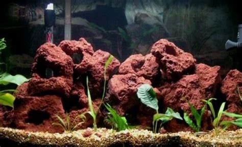 Red Natural Lava Rocks for Aquarium, Size: 3 To 5 Cm at Rs 250/kg in Chandigarh