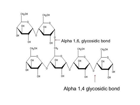 2. carbohydrates