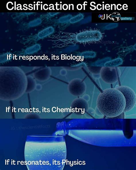 🧐Follow for more amazing facts"es.👍 | Cool science facts, Interesting science facts, Fun science