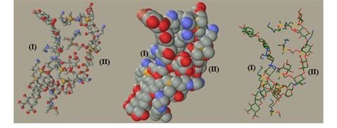 The 3-dimensional structure of humic acid (I) and amine-modified... | Download Scientific Diagram