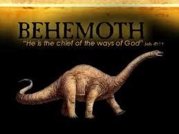 Job 40.15 Behemoth . - Who Is Right?