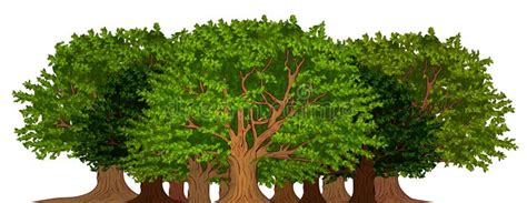 Grove of trees stock illustration. Illustration of massive - 22069047