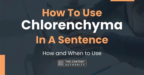 How To Use "Chlorenchyma" In A Sentence: How and When to Use