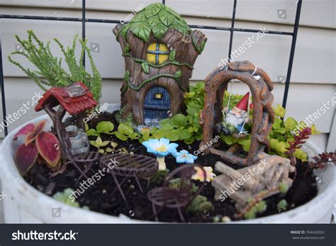 Gnome Playing Fairy Garden Stock Photo 764432602 | Shutterstock