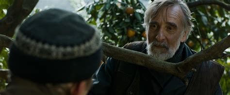 Tangerines Movie Review & Film Summary (2013) | Roger Ebert