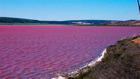 Lake Hillier, Australia | 20 Unbelievably beautiful places.