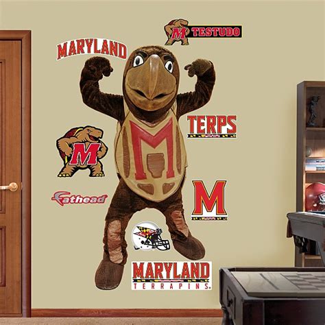 12 best images about TERPS! on Pinterest | Football, Shell ornaments ...