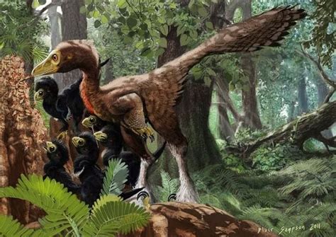 Troodon: der intelligente Saurier ⋆ Dinosaurierwelt.com