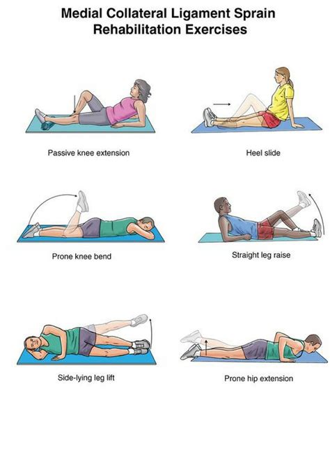 Aaos hip exercises pdf 2021