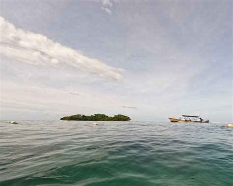 Negril Snorkeling - Snorkel and Hike