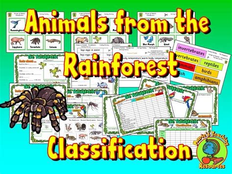 Animals from the Rainforest - Classification | Teaching Resources