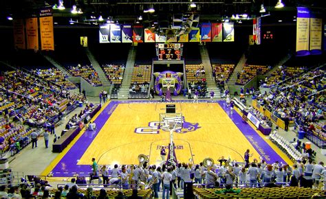 Purple & Gold: Basketball: Western Carolina picked third by coaches & media