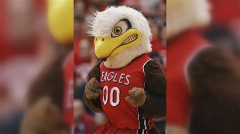 High School Eagle Mascots