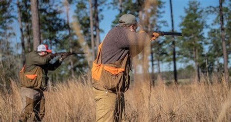 Full Day Quail Hunt for Four People at Southern Woods Plantation