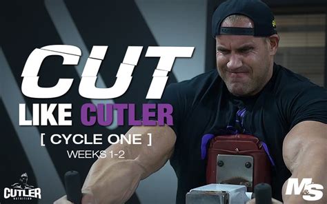 12 Week Cutting Cycle Diet