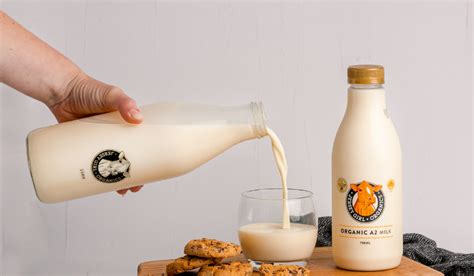 Why Choose Jersey Milk? The Health Benefits You Didn’t Know