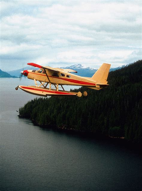 Alaskan Wildlife and Wilderness | The Great Canadian Travel Co.