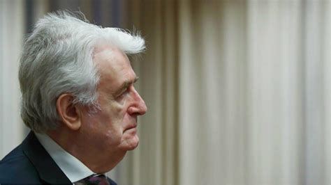 UN Court to Deliver Final Verdict in Karadzic Trial | Balkan Insight