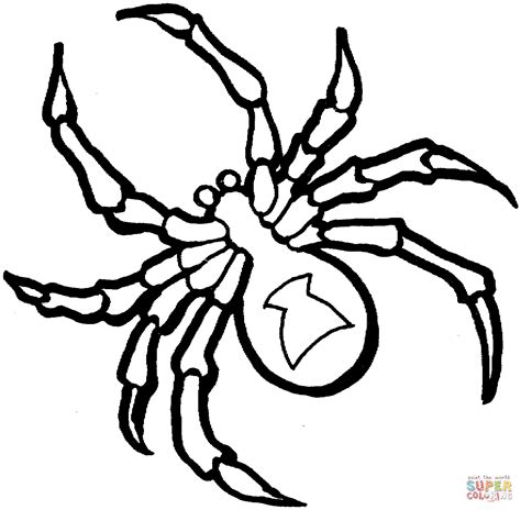 Free Printable Spider Coloring Pages - Printable Word Searches