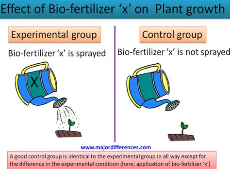 5 Differences between Control Group and Experimental Group | Major Differences | Control ...