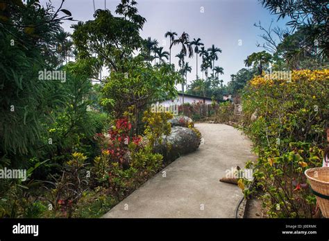 Clean road in mawlynnong village, east khasi hills , meghalaya, india, asia - rkm 251745 Stock ...