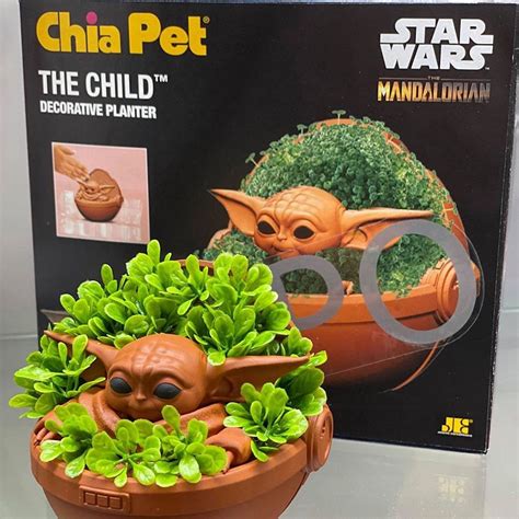 Baby Yoda Chia Pets Are Coming Out Soon, So You Can Grow Your Own Child in 2020 | Chia pet, Yoda ...