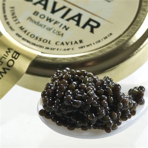 American Black Bowfin CaviarMalossol - buy caviar online at Gourmet Food Store