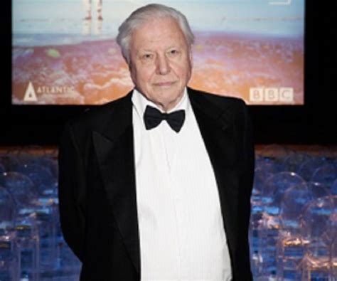 David Attenborough Biography - Facts, Childhood, Family Life & Achievements