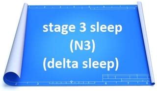 What is sleep architecture? (Stages and Cycles)