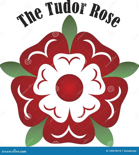 Tudor Rose - Illustration - Watercolour Style - English Symbol Royalty ...