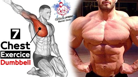 DUMBBELL Chest Exercises Workouts - Massive - YouTube