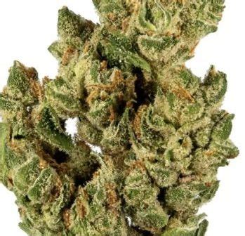 Banana OG strain - Cannabis Tutorials