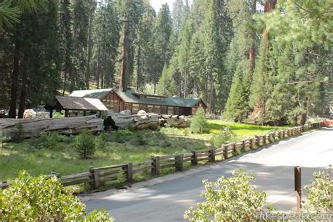 Giant Forest Museum | Sequoia | Hikespeak.com