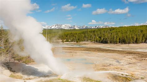 Yellowstone geyser, world's largest, shows strange eruption patterns ...