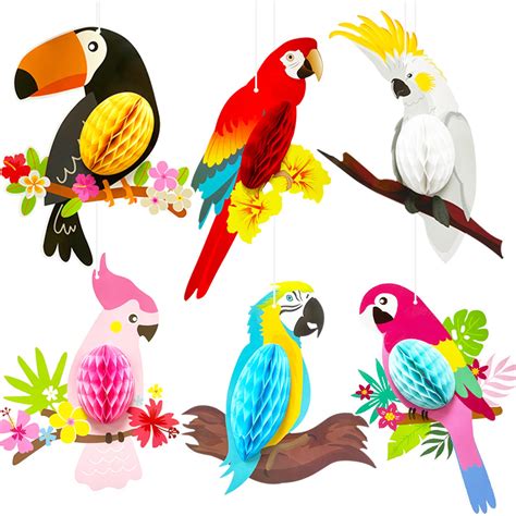 Free Rainforest Birds Clipart