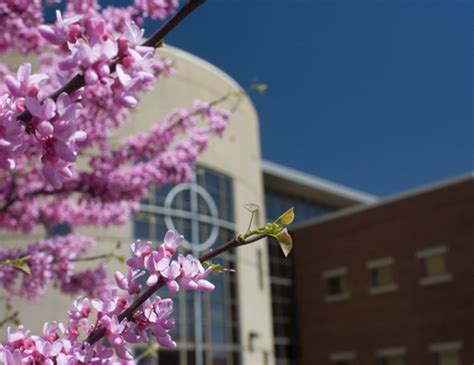 Newman University, Wichita, Kansas - College Overview