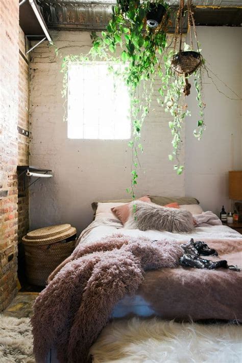 bedroom-hanging-plants - Hairs Out of Place