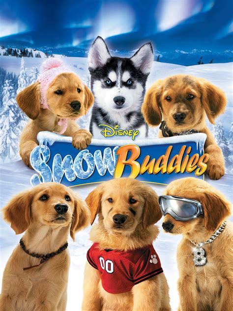 42 HQ Photos Snow Dogs Movie Dog Names - Iron Will 1994 Imdb | simplicitylifeofme