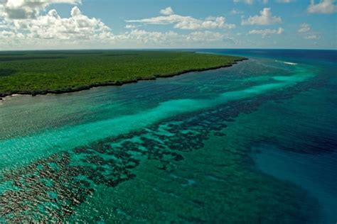 Rising temperatures threaten World Heritage coral reefs, including Seychelles’ Aldabra atoll ...