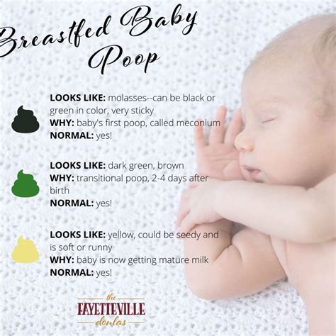 Baby Poop: What is Common and What is Normal? - The Fayetteville Doulas